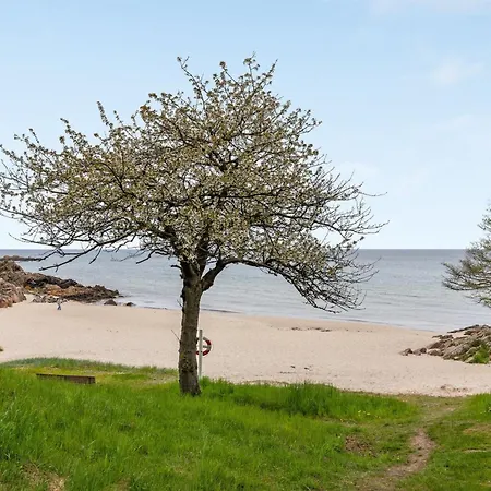 Apartamento Hermann - 100m From The Sea By Interhome *